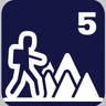 T5